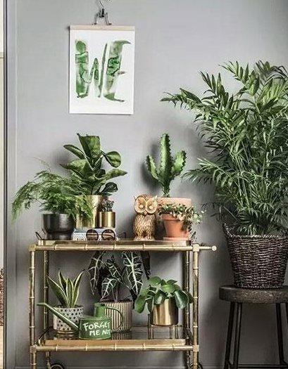 ֲLˮWϲÔ[ֲ쿴қ_ɷ˛]