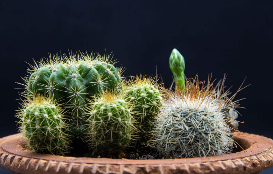 ֲLˮWϲÔ[ֲ쿴қ_ɷ˛]