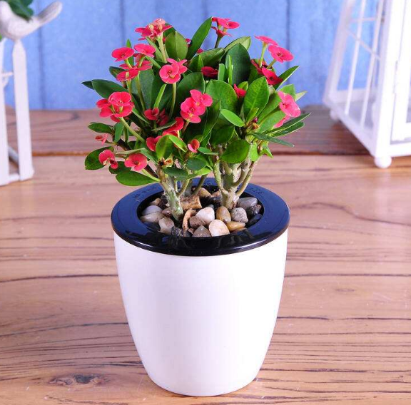 ֲLˮWϲÔ[ֲ쿴қ_ɷ˛]