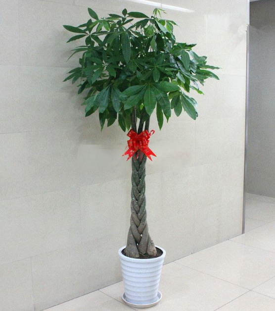 ֲLˮWϲÔ[ֲ쿴қ_ɷ˛]