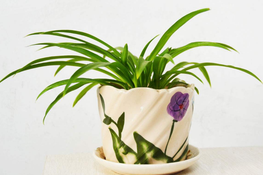 ֲLˮWϲÔ[ֲ쿴қ_ɷ˛]